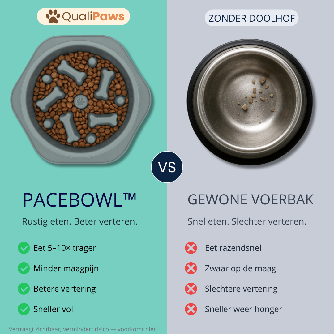 QualiPaws PaceBowl™