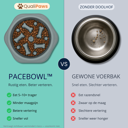 QualiPaws PaceBowl™