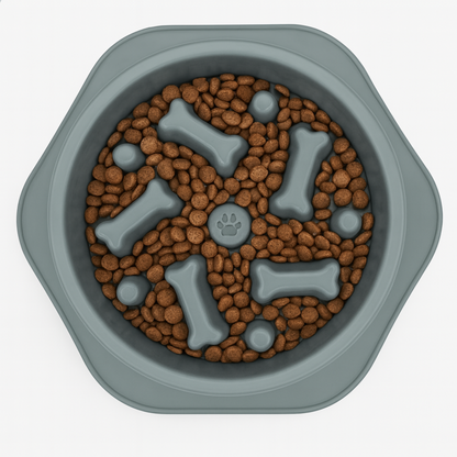 QualiPaws PaceBowl™