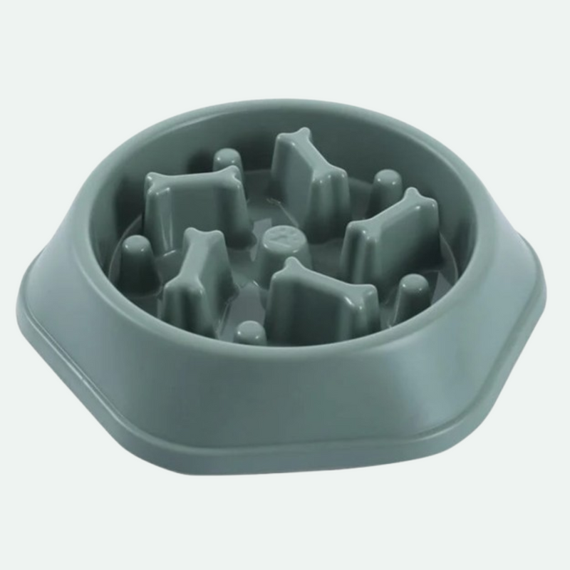 QualiPaws PaceBowl™